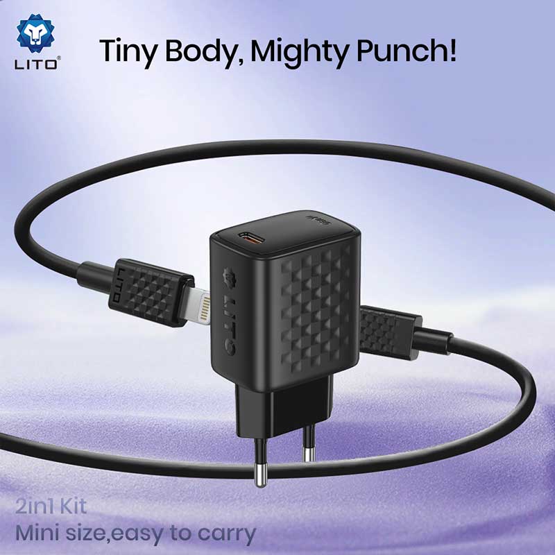 EU Plug Wall Charger